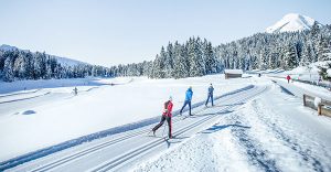 Langlaufen verbindet Sport mit Naturgenuss. Foto: langlaufen.at / Olympiaregion Seefeld