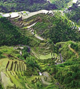 Die Reisterrassen von Banaue gelten sie als Achtes Weltwunder und UNESCO-Weltkulturerbe. - Foto: Philippine Department of Tourism