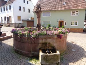 Külsheim I: Juden wurden nicht selten in Brunnen wie diesen untergetaucht damit auf das Übelste gefoltert – eine frühe Form des Waterboardings. - Foto: Dieter Warnick