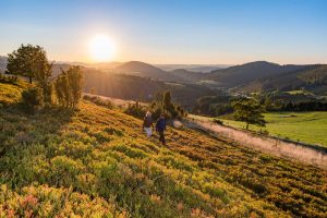 Wanderglück bei Oberkirchen. – Foto: Tourismus Schmallenberger Sauerland / Klaus-Peter Kappest