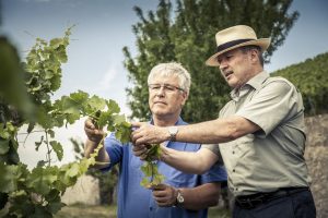 Waren mit dem Ertrag der Lese 2018 hochzufrieden: die beiden Weingutdirektoren Robert Haller (links/Bürgerspital) und Horst Kolesch/Juliusspital).– Foto: www.bayern.by / Bernhard Huber