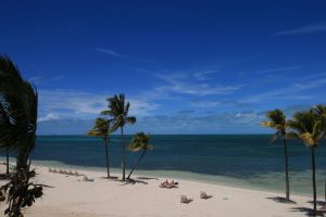 Der Strand in Grand Bahama - hier sind Tigerhaie unterwegs, die zweitgefährlichsten Haie nach dem weißen Hai.
