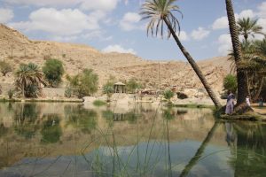 Ein Platz zum Träumen - Wadi Bani Khaled. - Foto: Michael Stephan 