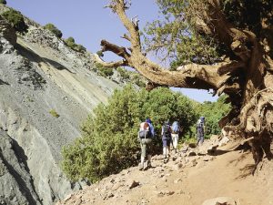 Die Wanderwege führen über Pfade der Bauern, entlang kleiner Wasserläufe, an Apfel- und Wallnussbäumen und mit Kiefern bewachsenen Hängen vorbei. Foto: ©weltweitwandern.com