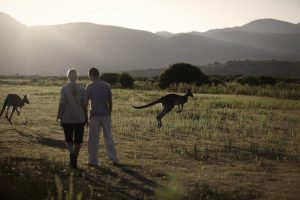 Gippsland. Foto: Visit Victoria