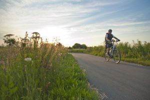 Durch den Müritz-Nationalpark und dann einmal um den größten deutschen Binnensee auf der Mecklenburgischen Seenplatte führt der abwechslungsreiche Müritz-Rundweg – Foto: 1000seen.de / Christin Drühl