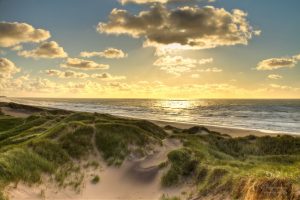 Bildrechte: Flickr golden north sea beach, Denmark magnetismus CC BY 2.0 Bestimmte Rechte vorbehalten