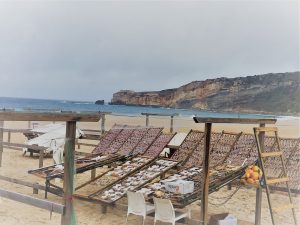 Auf langen Holzgestellen am Strand werden die Fische getrocknet. Die Arbeit und der Verkauf liegt in den Händen der Fischerfrauen. Getrockneter Fisch, Bacalhau, ist eine portugiesische Nationalspeise.