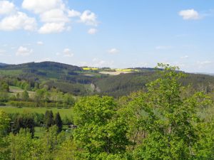 Blick von der Ortschaft Lichtenberg aus auf die geschwungene Mittelgebirgslandschaft in Thüringen. – Foto: Dieter Warnick