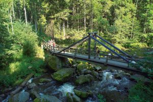 Eine besonders reizvolle Wandertour führt durch das Höllental. Der Teufelssteg überquert das Flüsschen Selbitz. – Foto: Frankenwald Tourismus & Andreas Hub