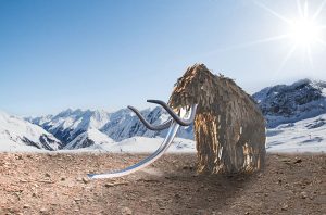 Dieses beeindruckende Mammut aus Holz führt direkt in die Eiszeit. – Foto: Andre Schönherr / Naturidea