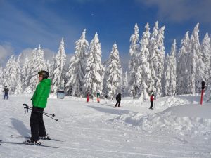 Pillerseetal 4: Besser könnten die Verhältnisse nach den starken Schneefällen der vergangenen Wochen nicht sein – das Skigebiet Saalbach Hinterglemm Leogang Fieberbrunn ist ein Märchen in Weiß. – Fotos: Dieter Warnick