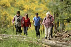 Wandergruppe im Liesetal. – Foto: Landidyll Landhaus Liesetal / Michael Meyer