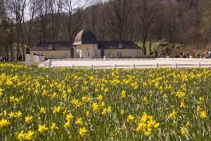 Früher diente die Orangerie von Schloss Berleburg in den Sommermonaten als Lusthäuschen für kleinere Feste oder Feiern im Park. Heute finden in dem beliebten Gebäude Trauungen statt. – Foto: BLB-Tourismus GmbH