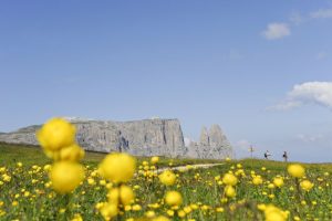 Von der Seiser Alm aus hat der Urlauber den Schlern immer im Blickfeld. - Foto: Seiser Alm Marketing/Laurin Moser