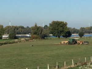 Frachtschiff in niederrheinischer Landschaft.
