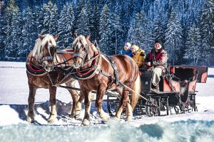 Ganz bewusst die Ruhe sowie die verschneite Naturlandschaft genießen und so zu innerer Balance finden – der gesundheitstouristische Erlebnisraum „Lebensspur Lech“ kann in Holzgau/Österreich auch im Rahmen einer Pferdeschlittenfahrt erkundet werden. – Foto: Tiroler Lechtal/Ratko Photography 