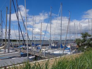 Wie überdimensionale Spargelstangen ragen die Masten dieser Segelboote, die im Hafen von Niendorf vertäut sind, in den weiß-blauen Sommerhimmel. – Foto: Dieter Warnick