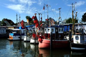 Kutter im Hafen von Niendorf. – Foto: Michael Schwartz