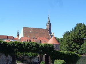 Schon vor 3000 Jahren wurde Senf in der chinesischen Küche als Gewürz geschätzt. Aber auch heute noch ist Senf in seinen Variationen sehr beliebt. Im Senf-Shop der Bautzener Senfstube, dem ersten Bautzener Senf-Restaurant, werden 15 steinvermahlene Sorten Senf angeboten. – Foto: Jens-Michael Bierke