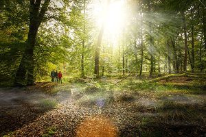 Auf dem Schaidter Westwallweg. - Foto: Südpfalz Tourismus / Nico Bohnert