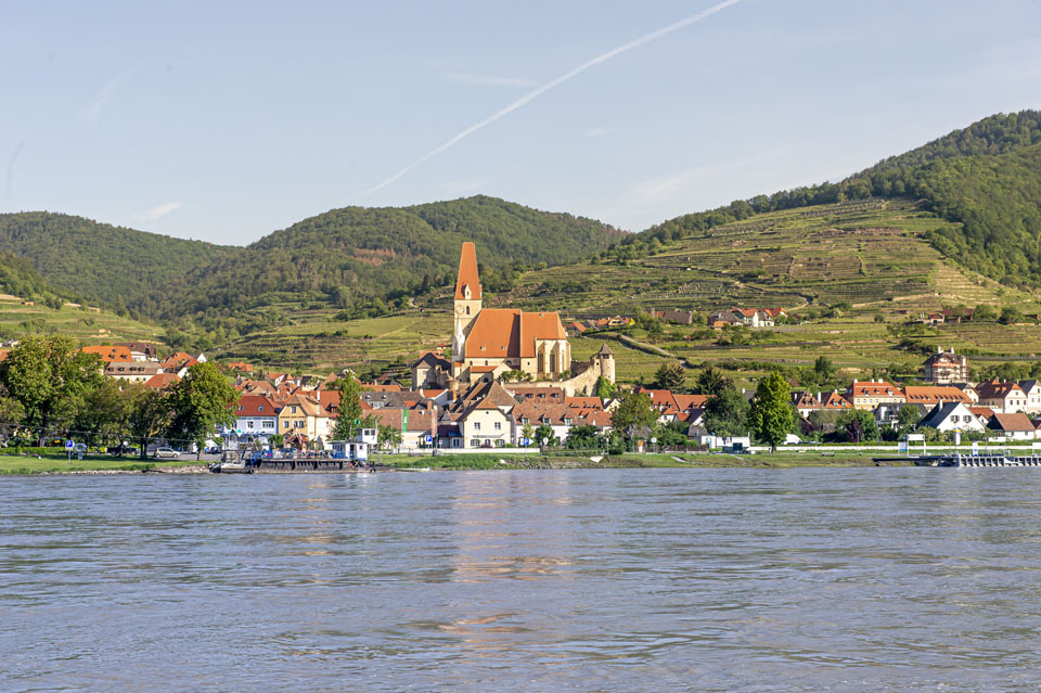 Markant erhebt sich die mächtige Wehrkirche von Weißenkirchen aus dem 14. Jahrhundert. – Foto: Donau Niederösterreich / Robert Herbst