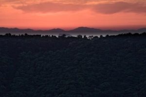 Beeindruckend: der Sonnenuntergang vom Mount Inari aus. – Foto: Hans Nagel