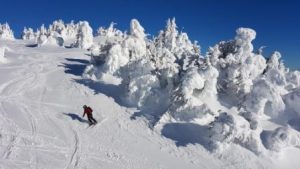 Sun Peaks: Leere Skipisten und Pulverschnee. – Foto: Roland Jung