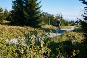 Ein Muss in Frauenberg ist die Auffahrt auf den Dreisesselberg. - Foto: Tourismusverband Ostbayern / Stefan Schopf