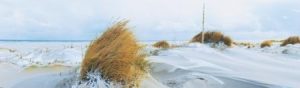 Winterliches Wangerooge: Dünenlandschaft im Schnee. – Foto: Kurverwaltung Wangerooge / Ingo Gebhard