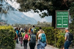 Wandern durch die historischen Weinberge der Nosiola-Rebe. – Foto: Garda Dolomiti AG / Trentino Marketing