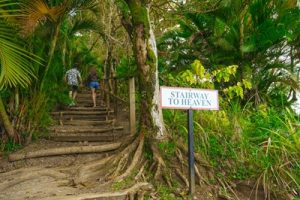 Die „Treppe zum Himmel“ sollte unbedingt erklommen werden. - Foto: Saint Lucia Tourism Authority