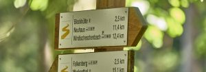 Viele Wanderer bezeichnen den Goldsteig als „schönsten Fernwanderweg“, hier ein Goldsteig-Wegweiser im Waldnaabtal. – Foto: Tourismusverband-Ostbayern