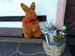 Und wenn der Frühling nicht mehr weit ist, dann kommt auch der Osterhase aus seinem Versteck. – Foto: Dieter Warnick