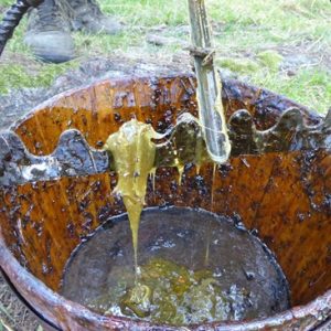 Nur wenigen Menschen ist es vorbehalten, den Lärchen Harz zu entnehmen. Das wird dann zu wohltuenden Salben und Ölen verarbeitet. – Foto: LaRicina